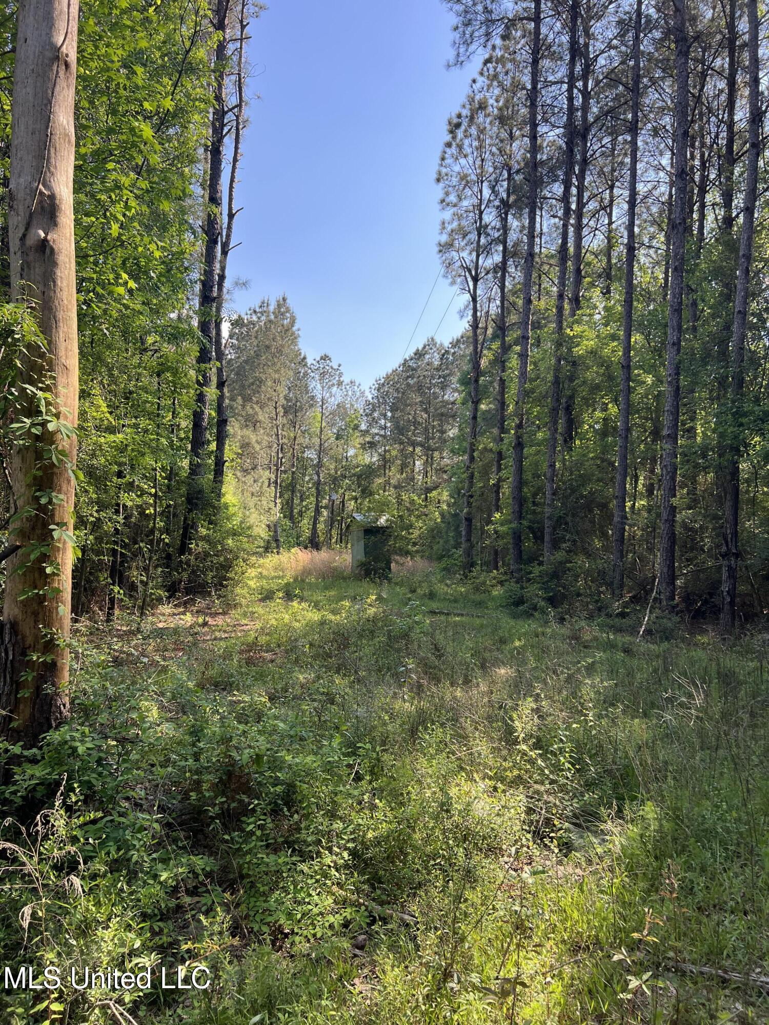 1038 Candy Lane, McComb, Mississippi image 14