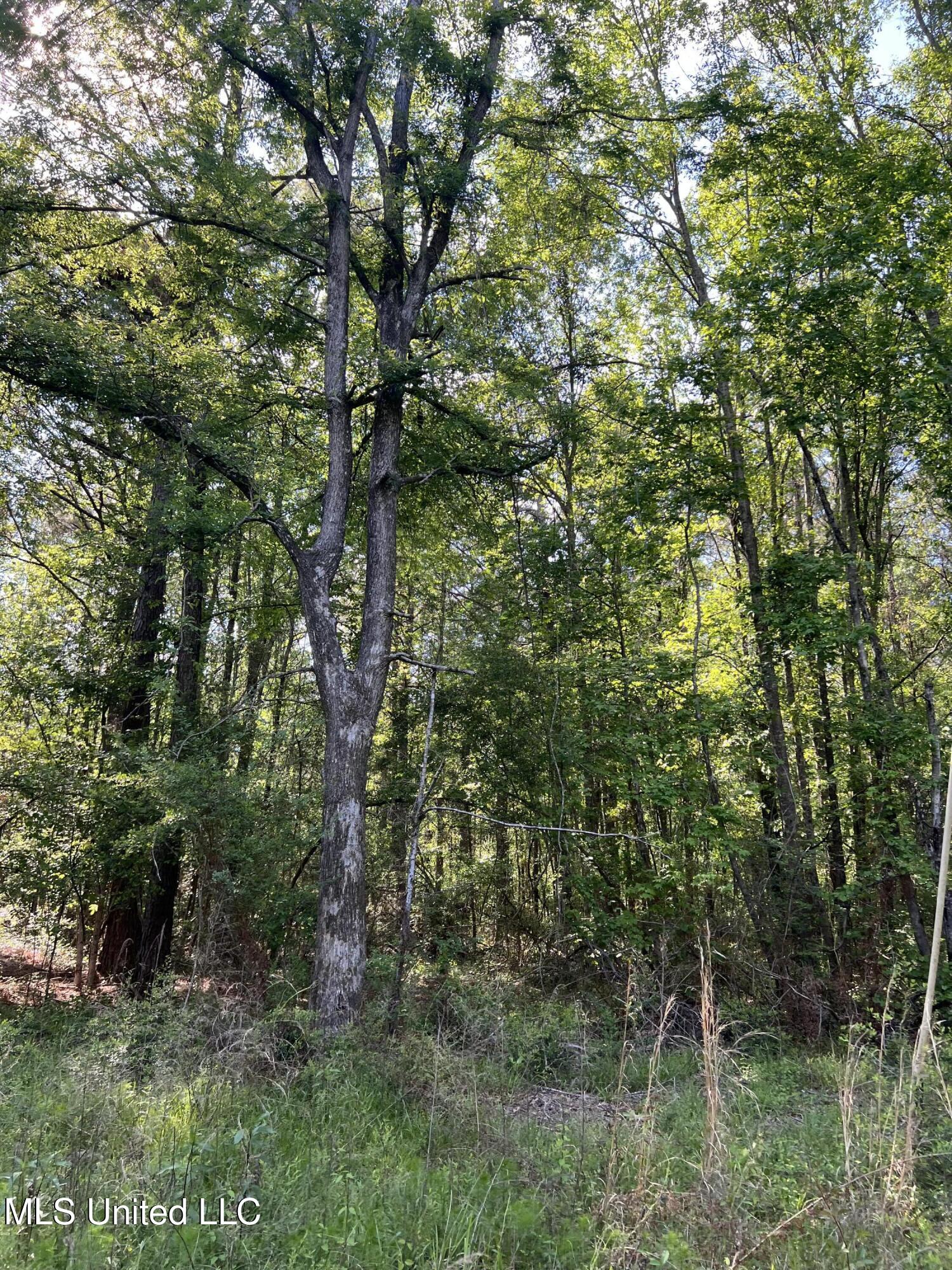 1038 Candy Lane, McComb, Mississippi image 15