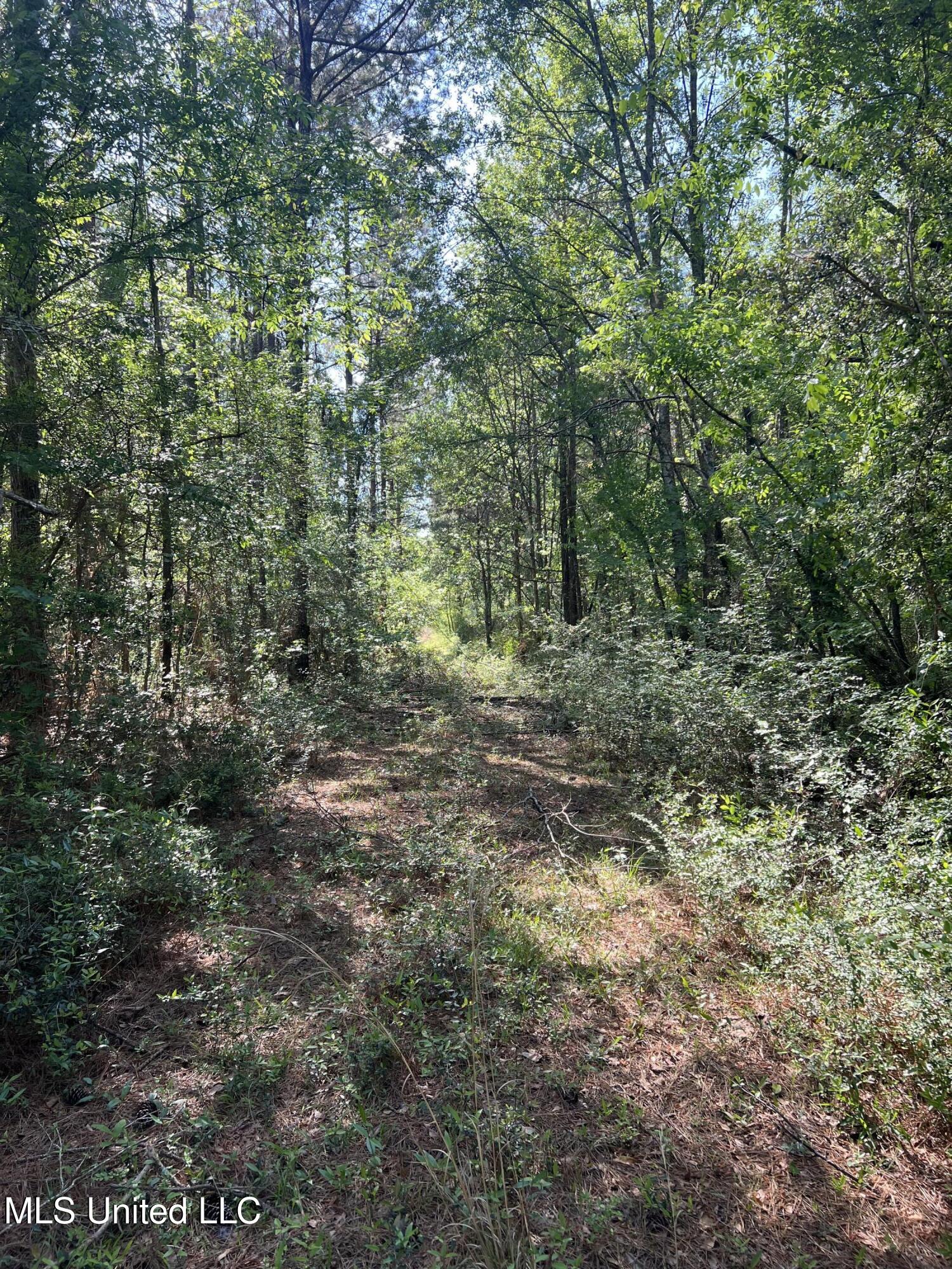 1038 Candy Lane, McComb, Mississippi image 4