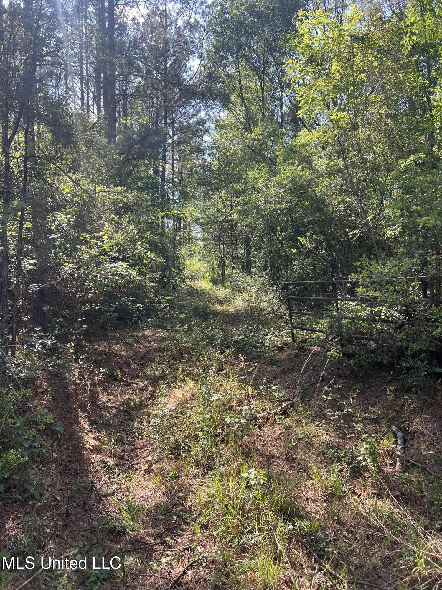 1038 Candy Lane, McComb, Mississippi image 3