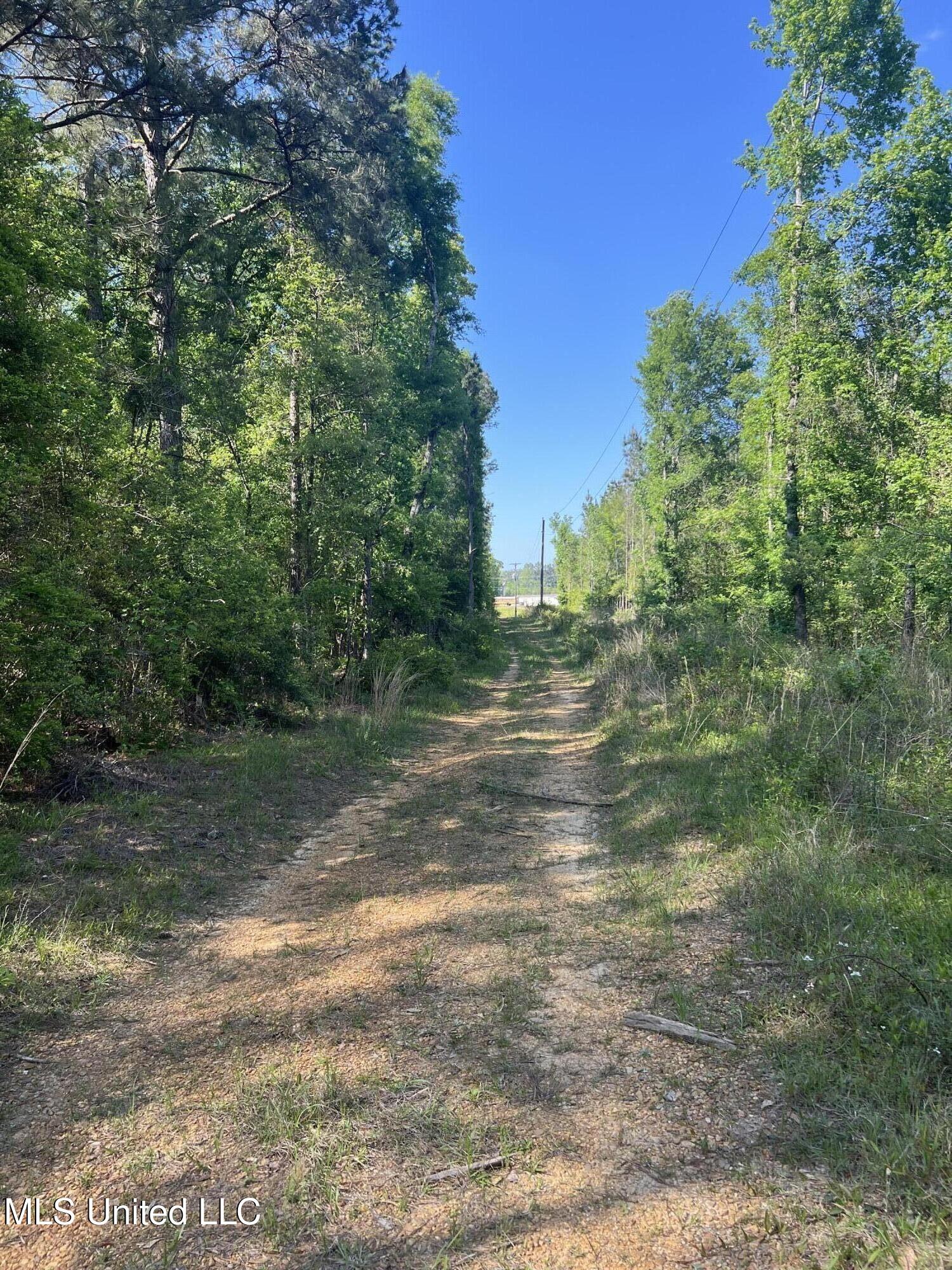 1038 Candy Lane, McComb, Mississippi image 2