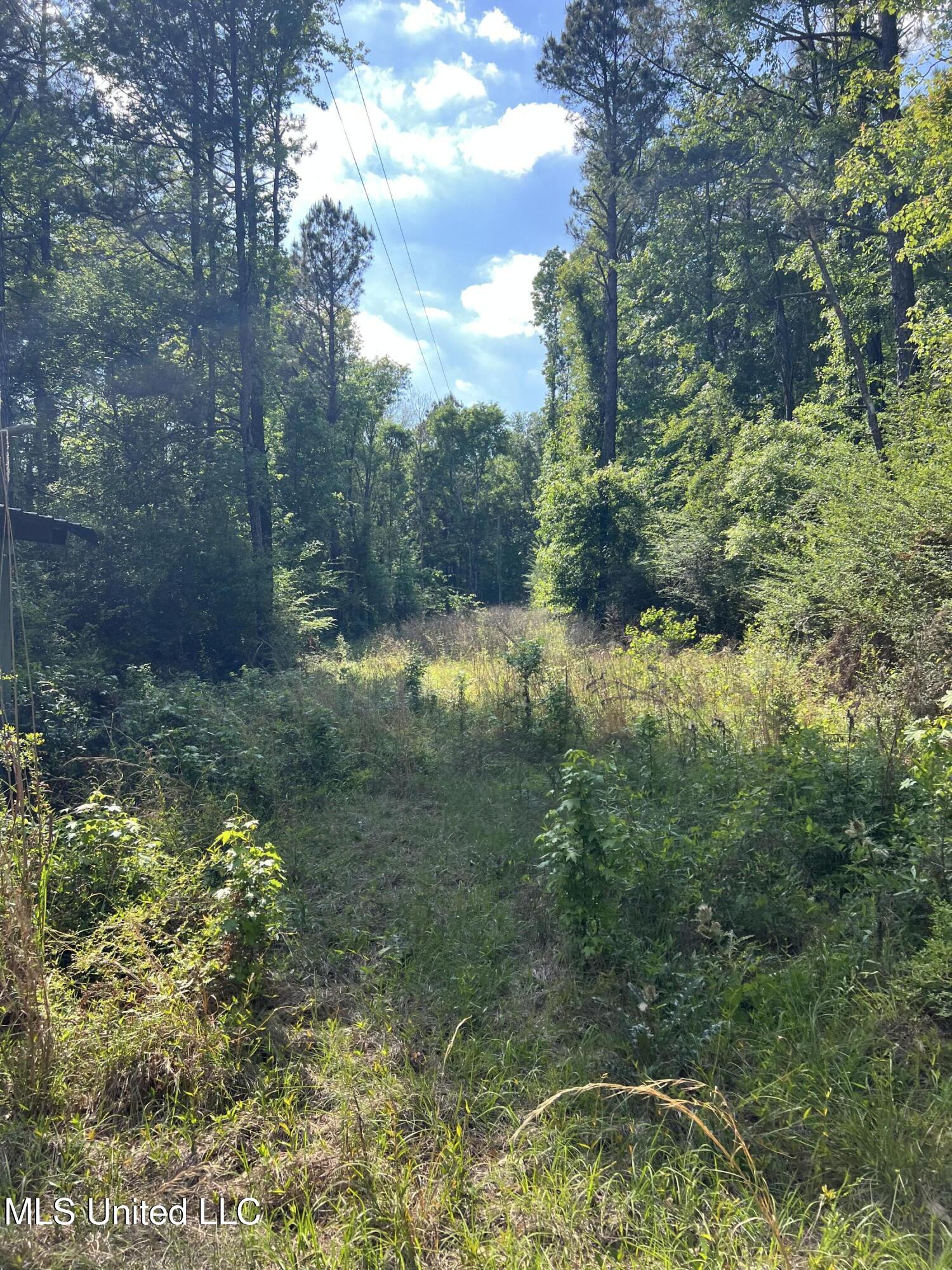 1038 Candy Lane, McComb, Mississippi image 12