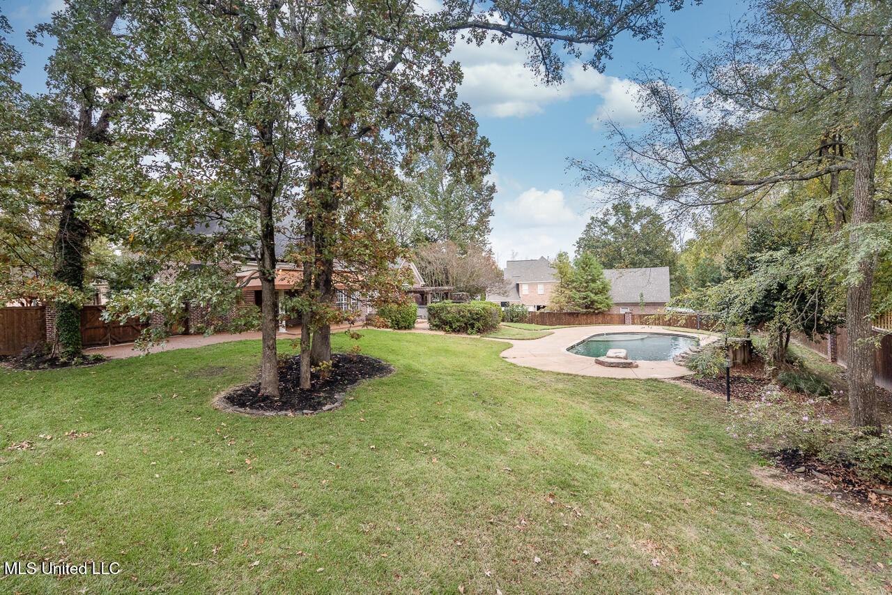 8679 Saddle Creek Drive, Olive Branch, Mississippi image 37