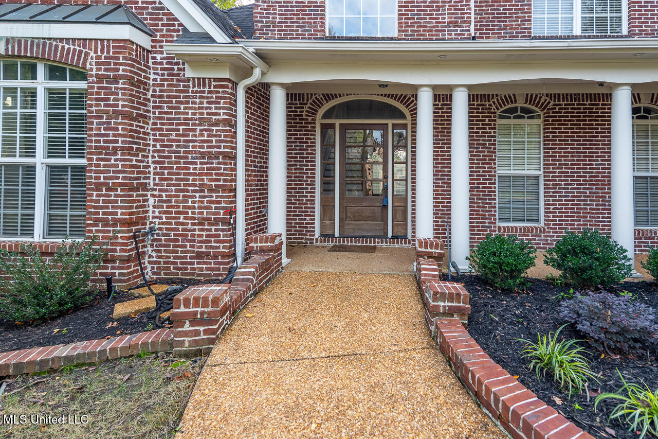 8679 Saddle Creek Drive, Olive Branch, Mississippi image 48