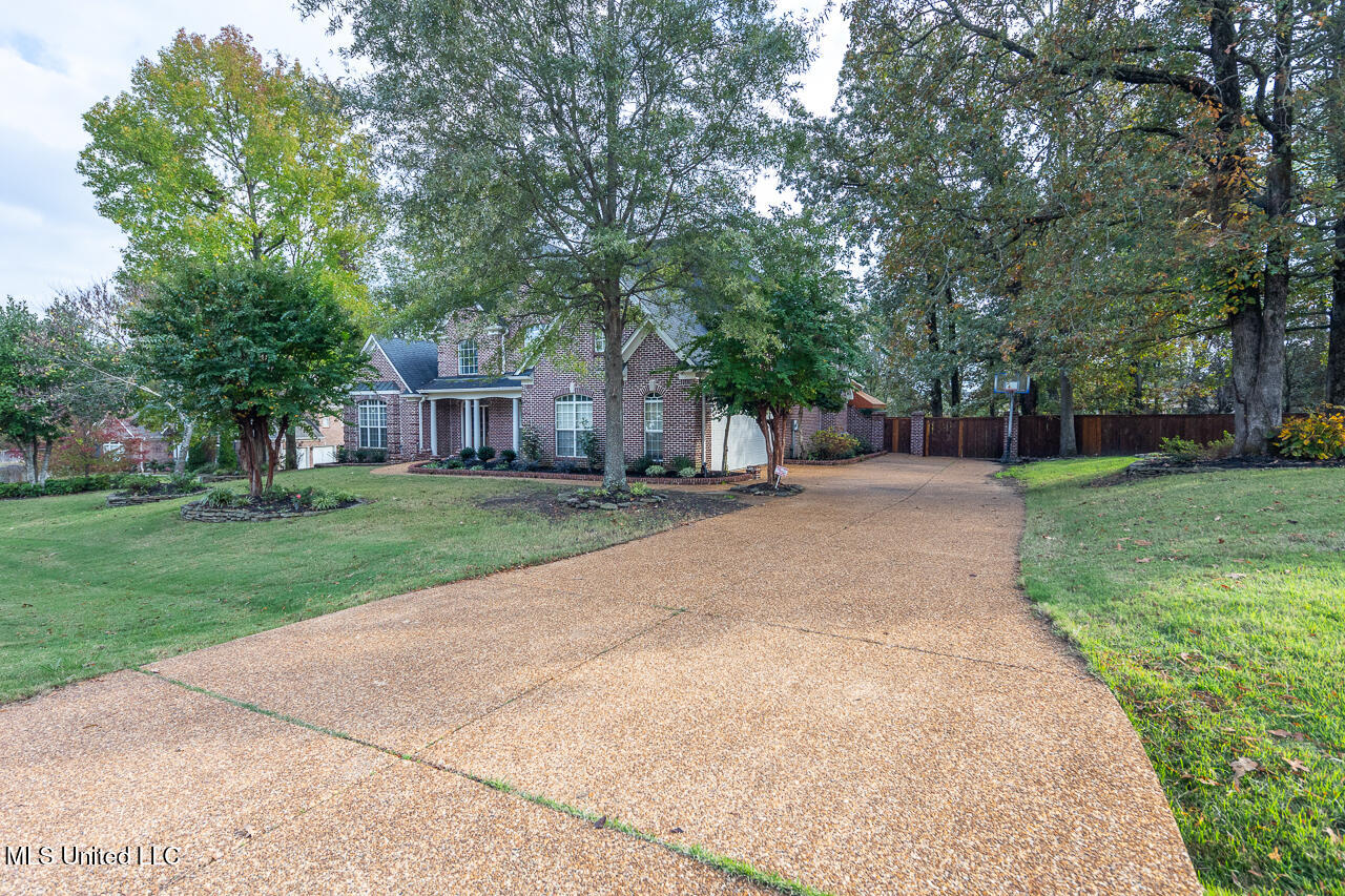 8679 Saddle Creek Drive, Olive Branch, Mississippi image 50