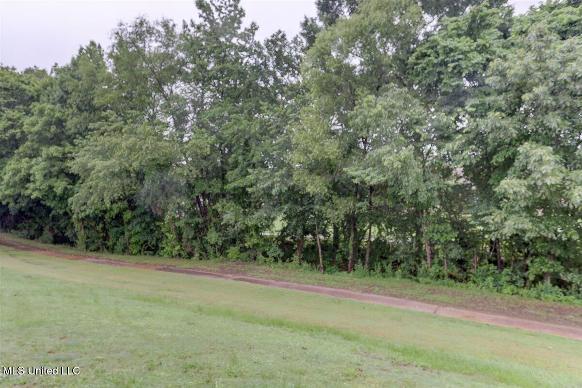 4183 S Bolivar Trail, Olive Branch, Mississippi image 45