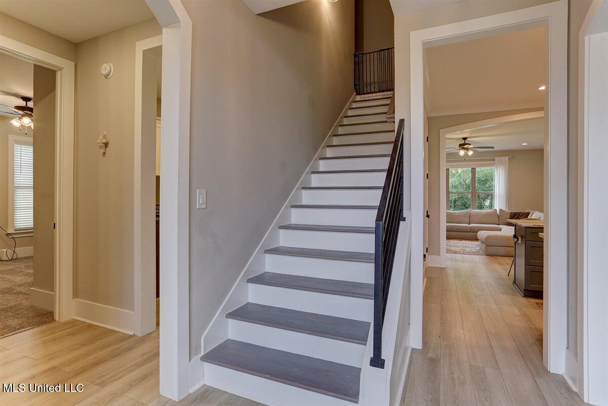 4183 S Bolivar Trail, Olive Branch, Mississippi image 6
