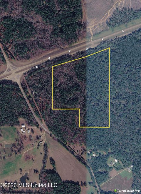 Vacant Land For Sale - Hwy 25<br/> Leake County, Lena, MS 39094