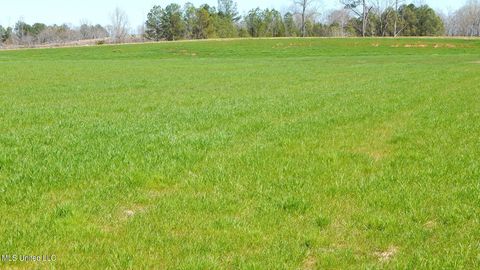 Vacant Land For Sale - 7 Graysport Crossing Road<br/> Gore Springs, MS 38929