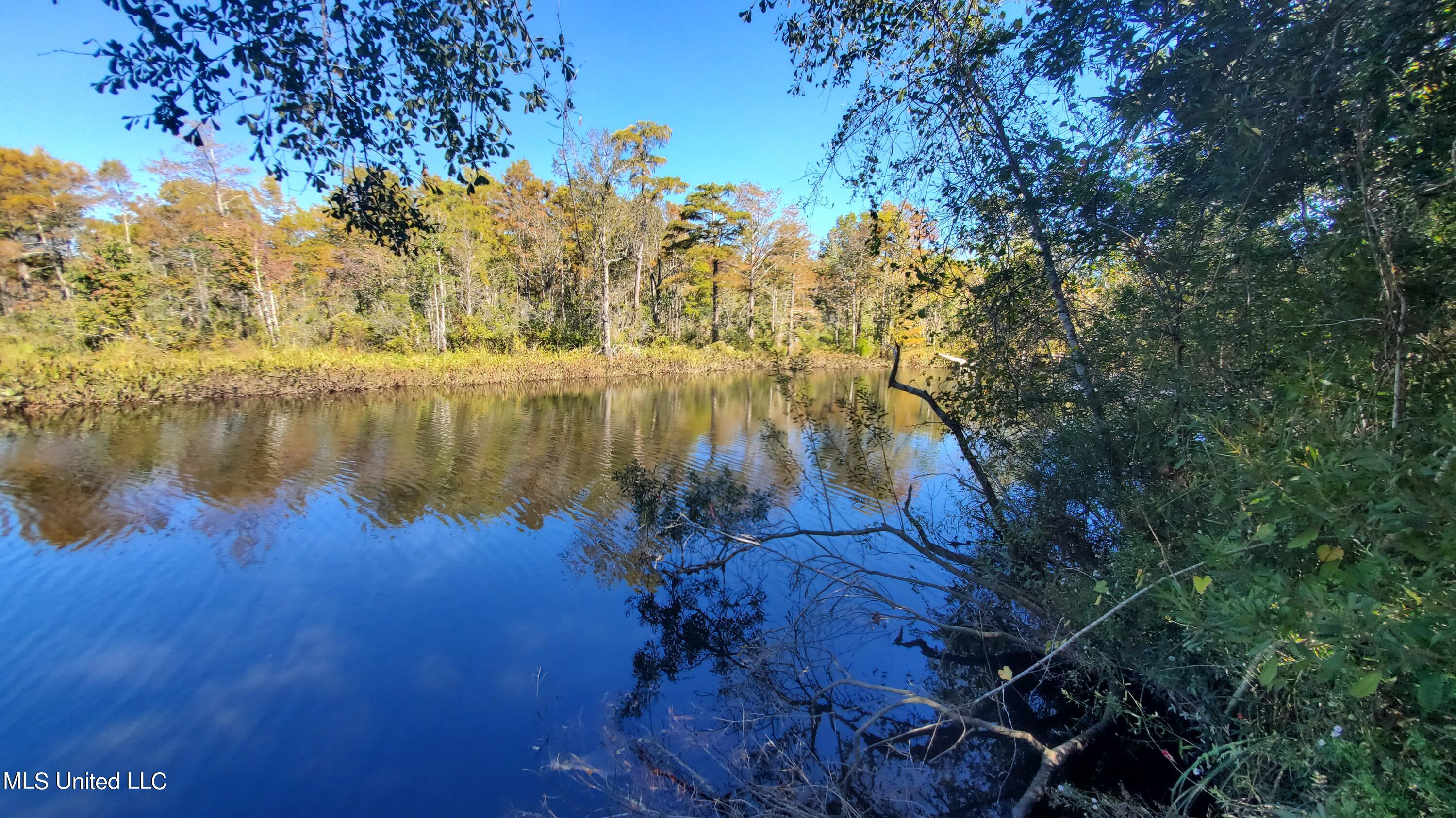 Bayou Circle, Diamondhead, Mississippi image 1