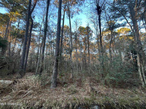 Vacant Land For Sale - LOT 37-38 E Greene Street<br/> Bay Saint Louis, MS 39520