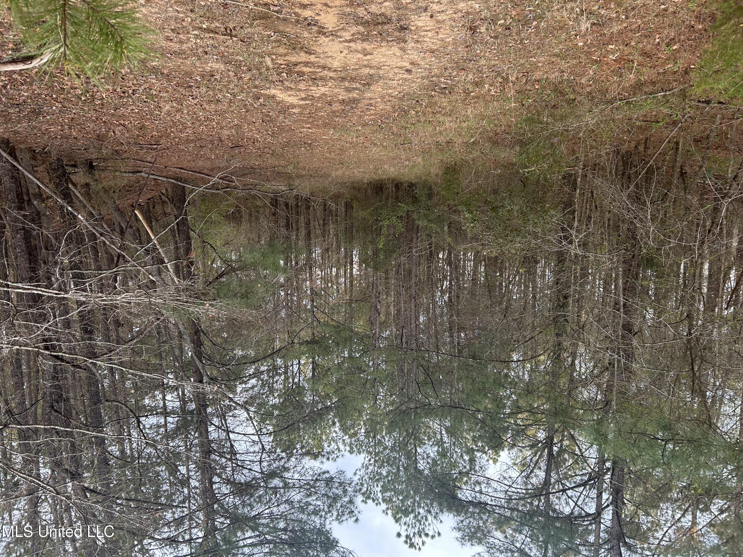 County Road 270, Union, Mississippi image 42