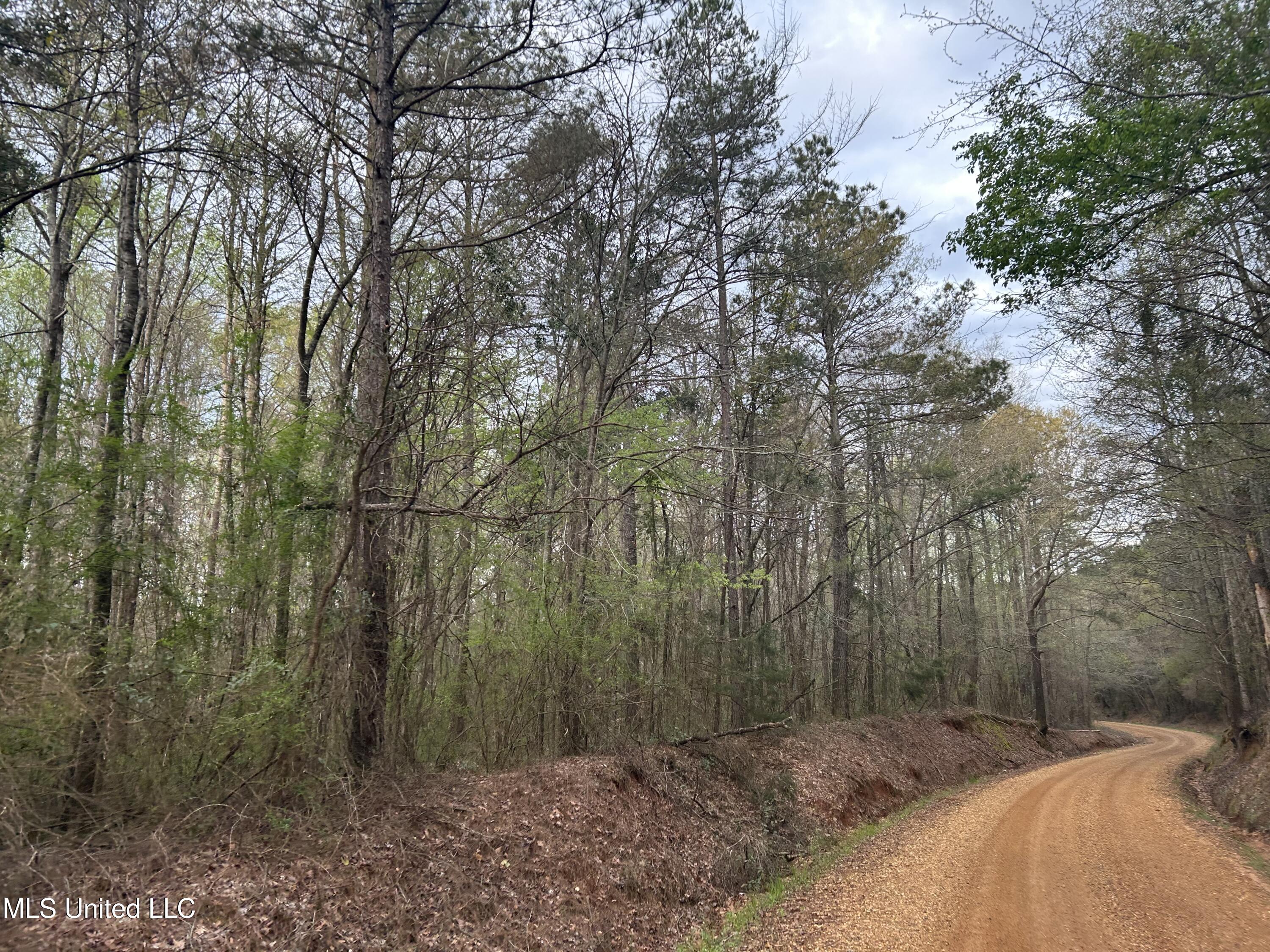 County Road 270, Union, Mississippi image 1