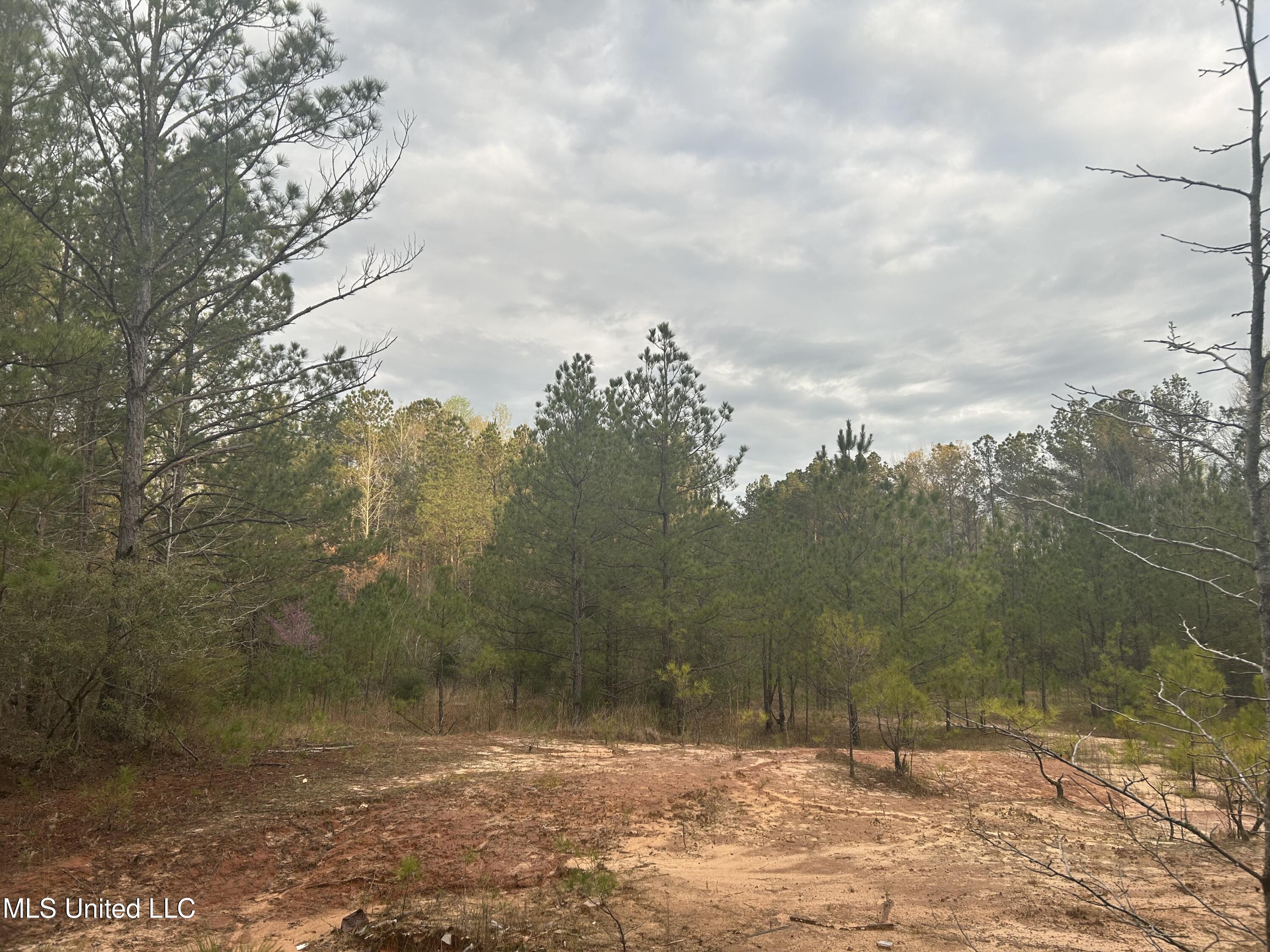 County Road 270, Union, Mississippi image 40