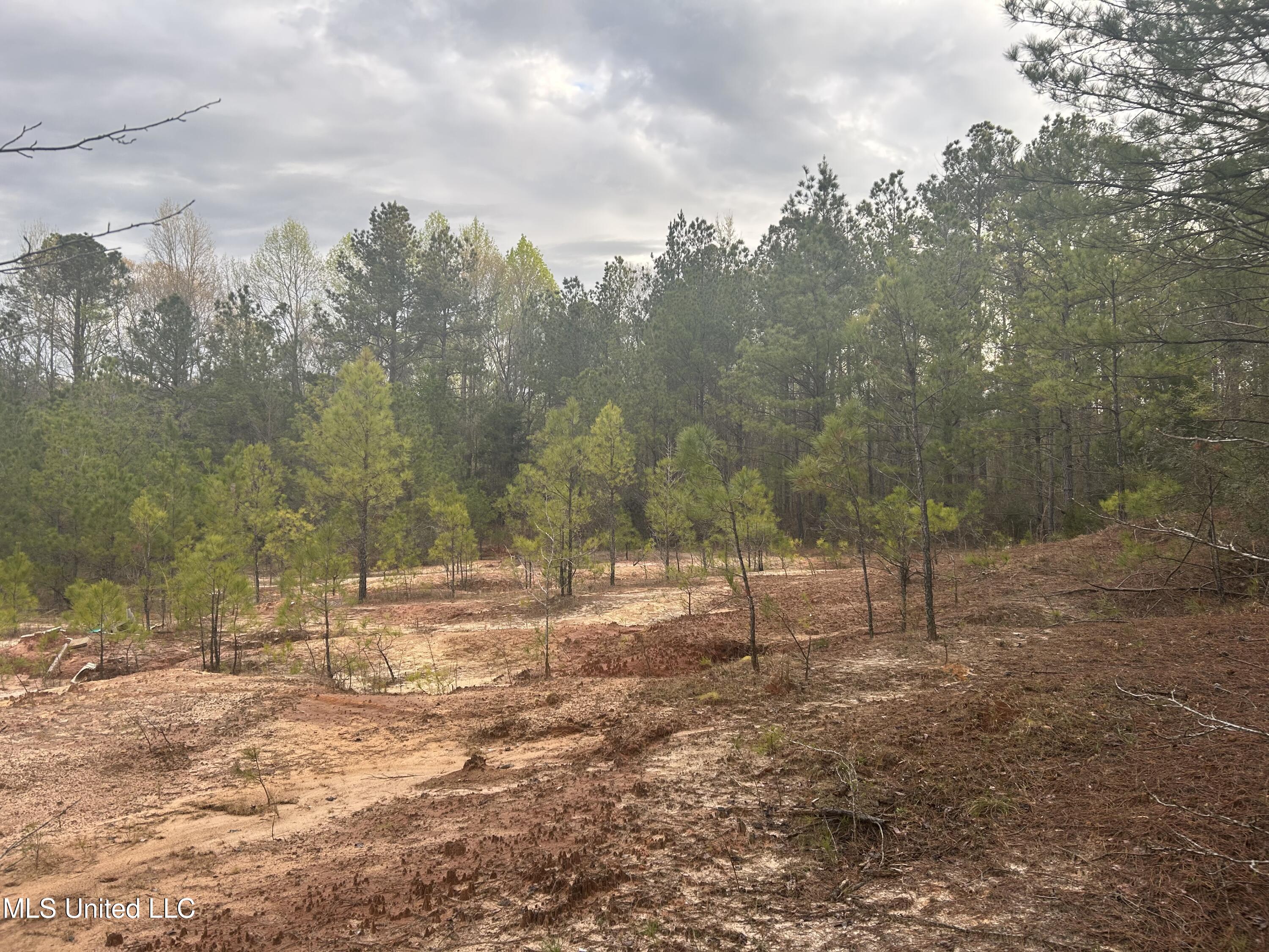 County Road 270, Union, Mississippi image 39