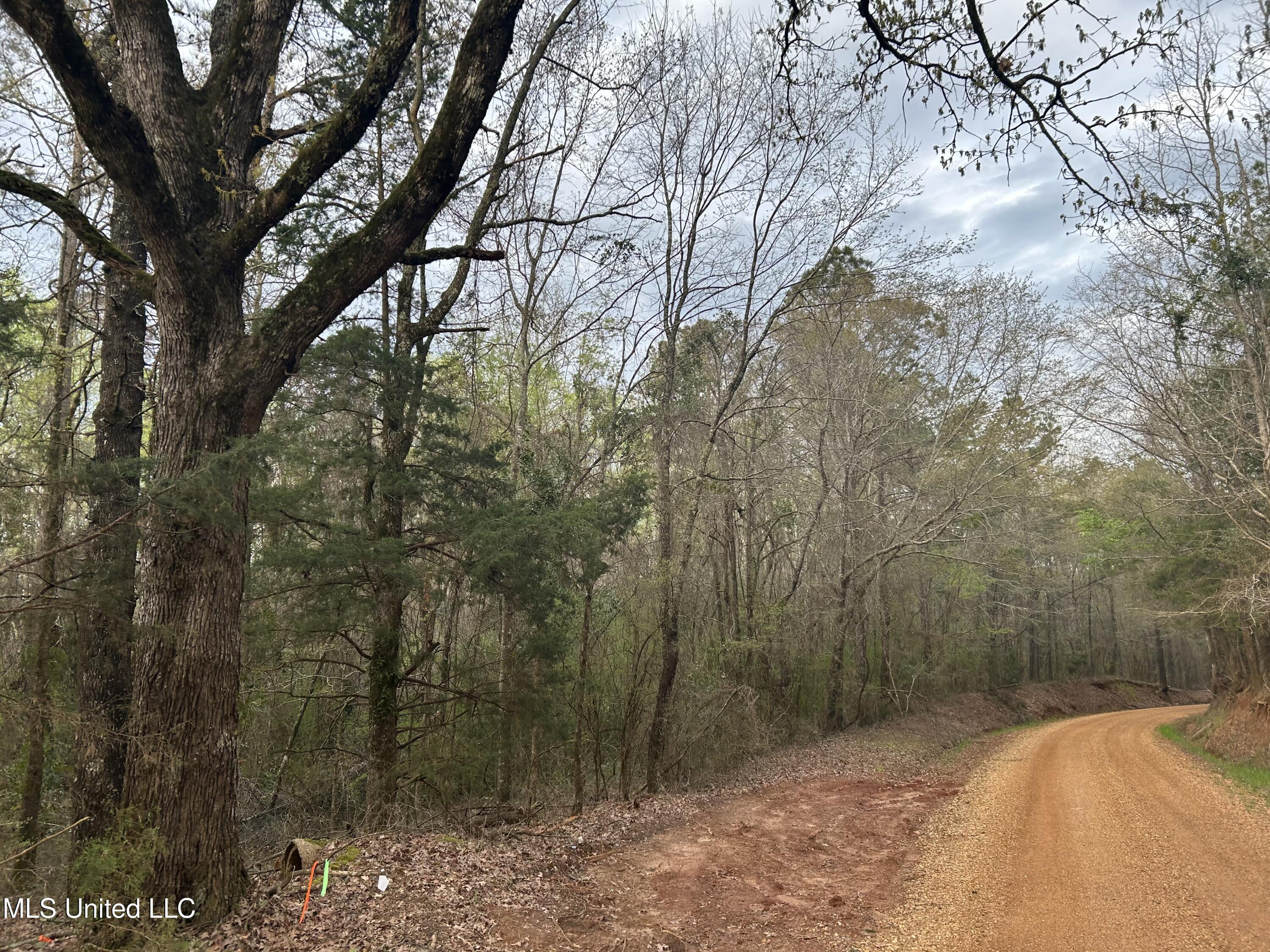 County Road 270, Union, Mississippi image 44