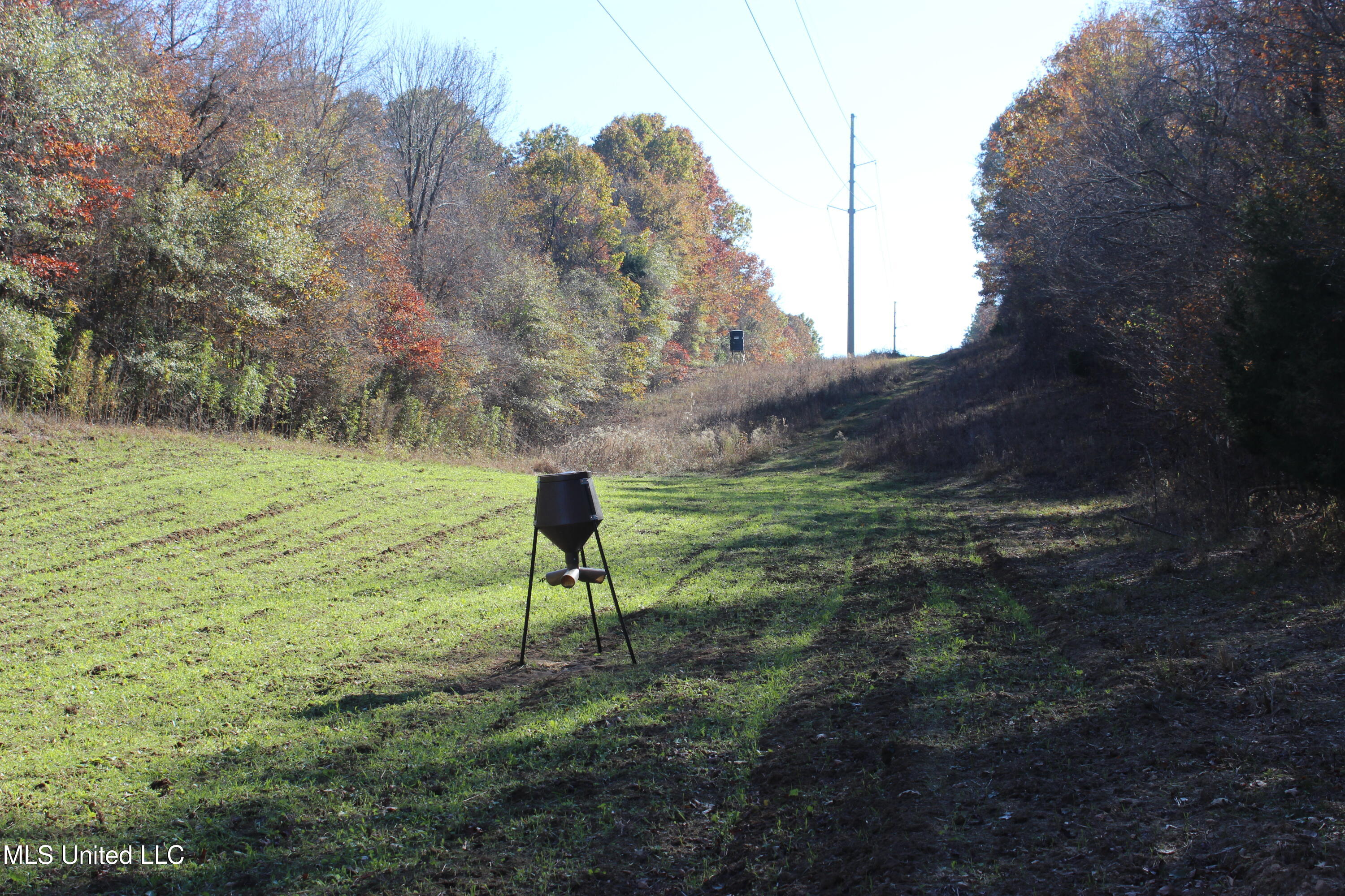 2000 Highway 35, West, Mississippi image 22