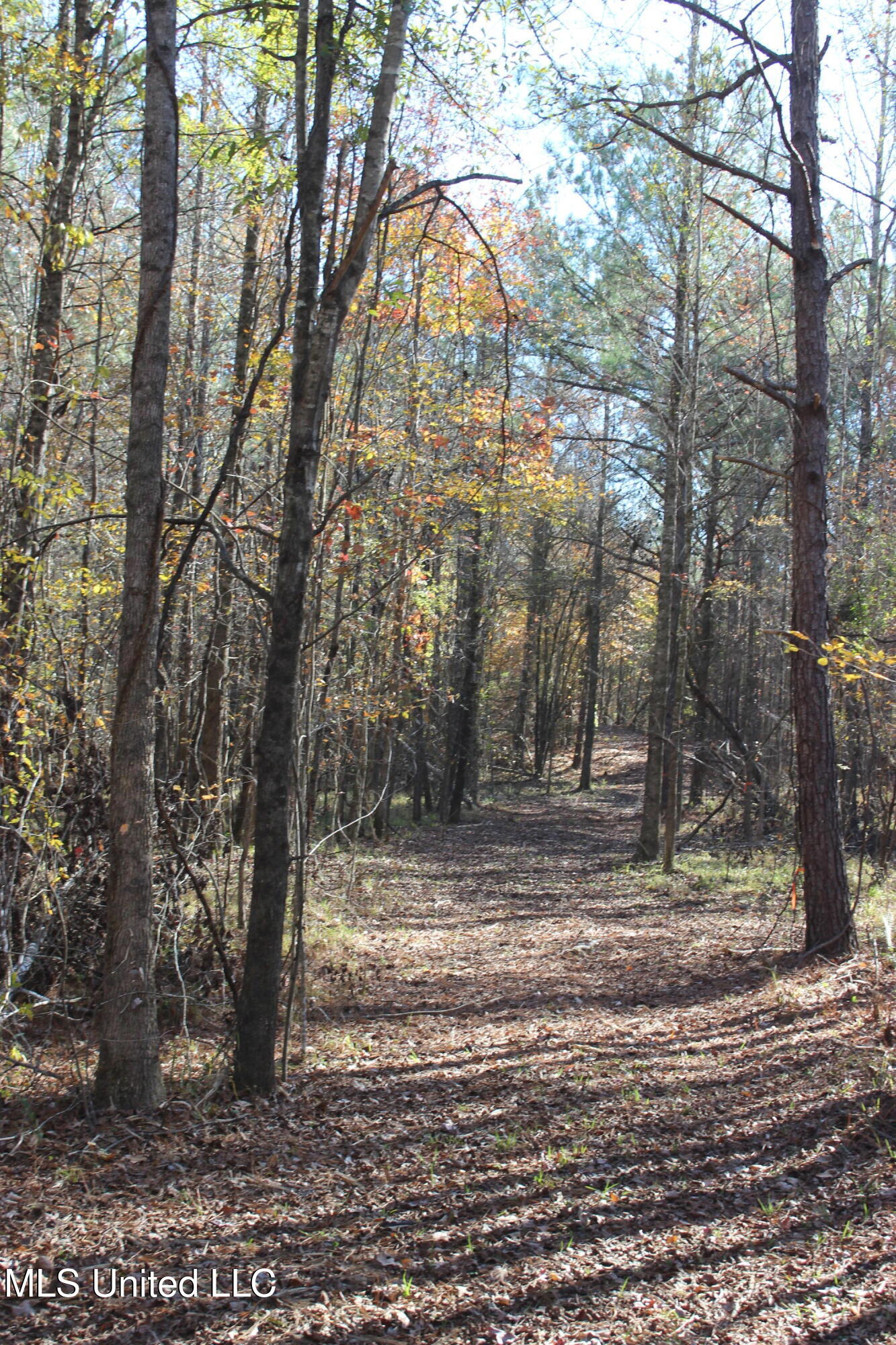 2000 Highway 35, West, Mississippi image 30