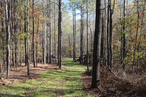 Vacant Land For Sale - 2000 Highway 35<br/> West, MS 39192