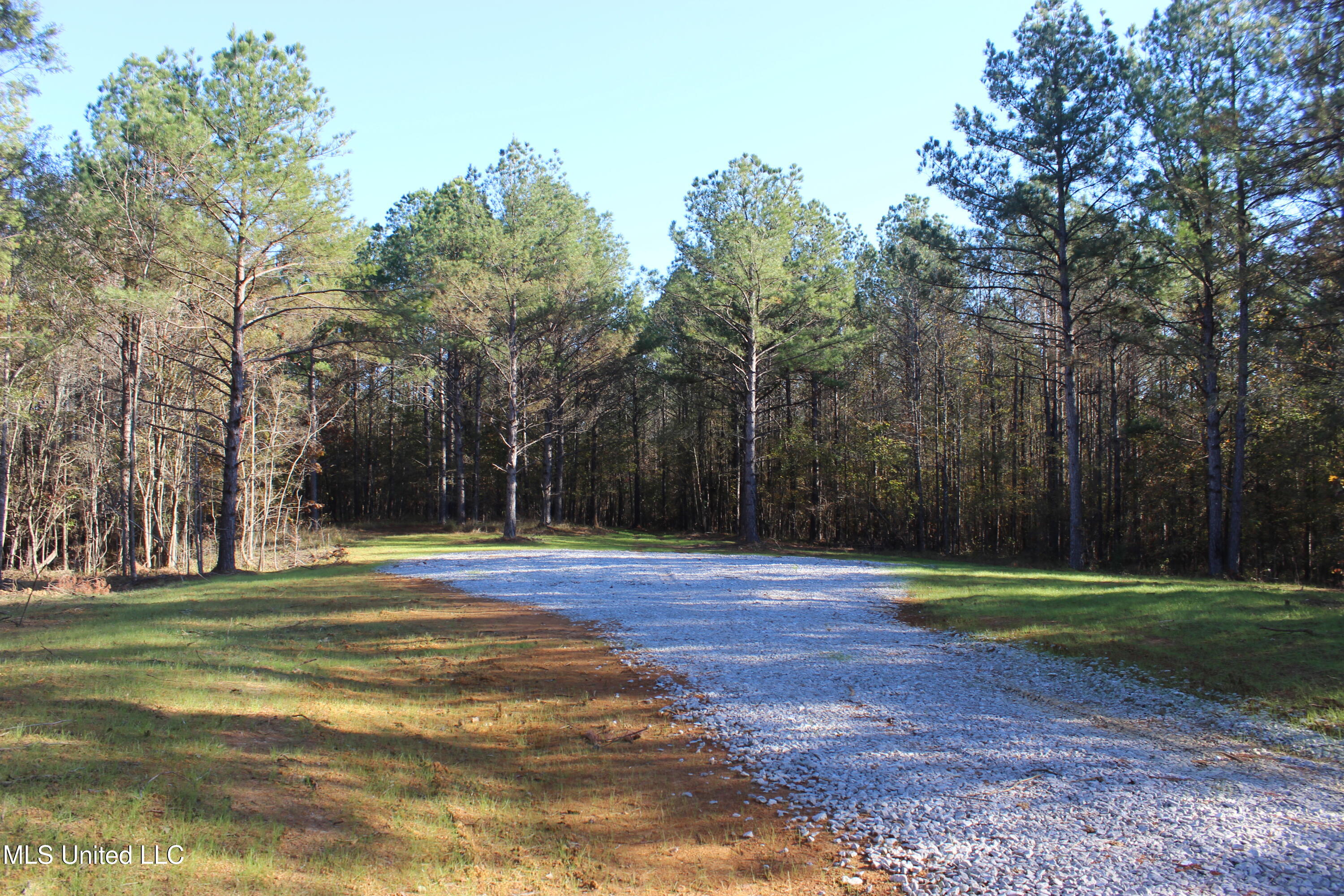 2000 Highway 35, West, Mississippi image 4