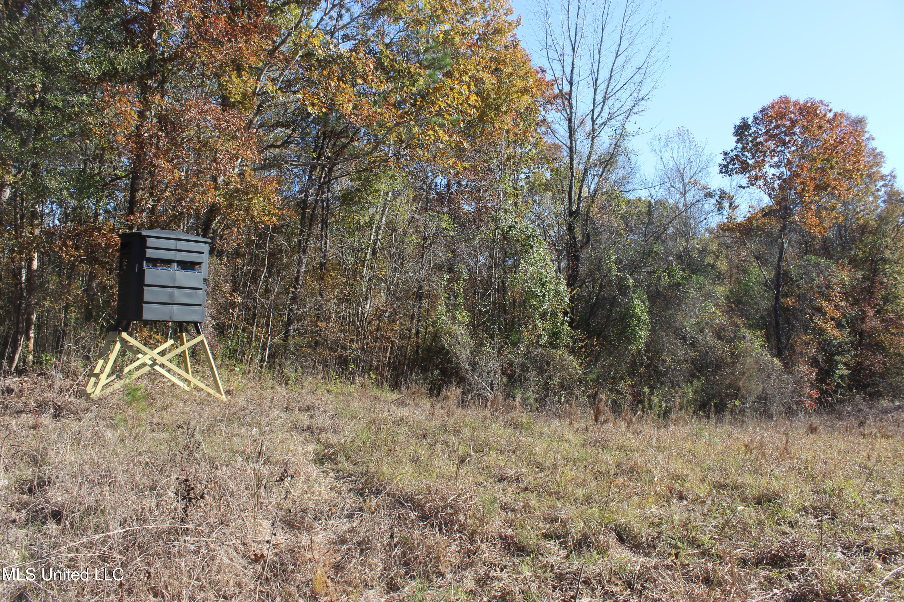 2000 Highway 35, West, Mississippi image 20