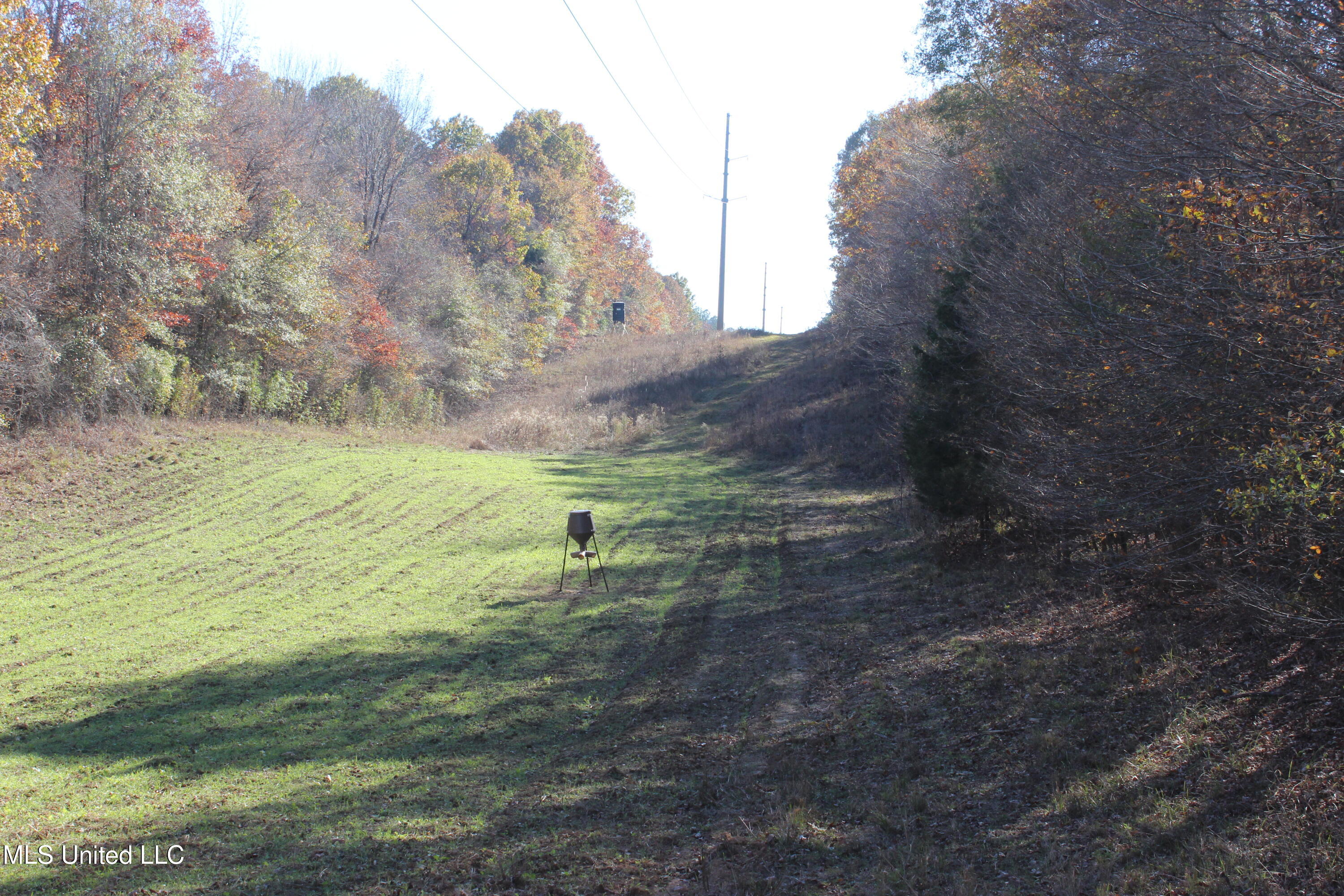 2000 Highway 35, West, Mississippi image 21