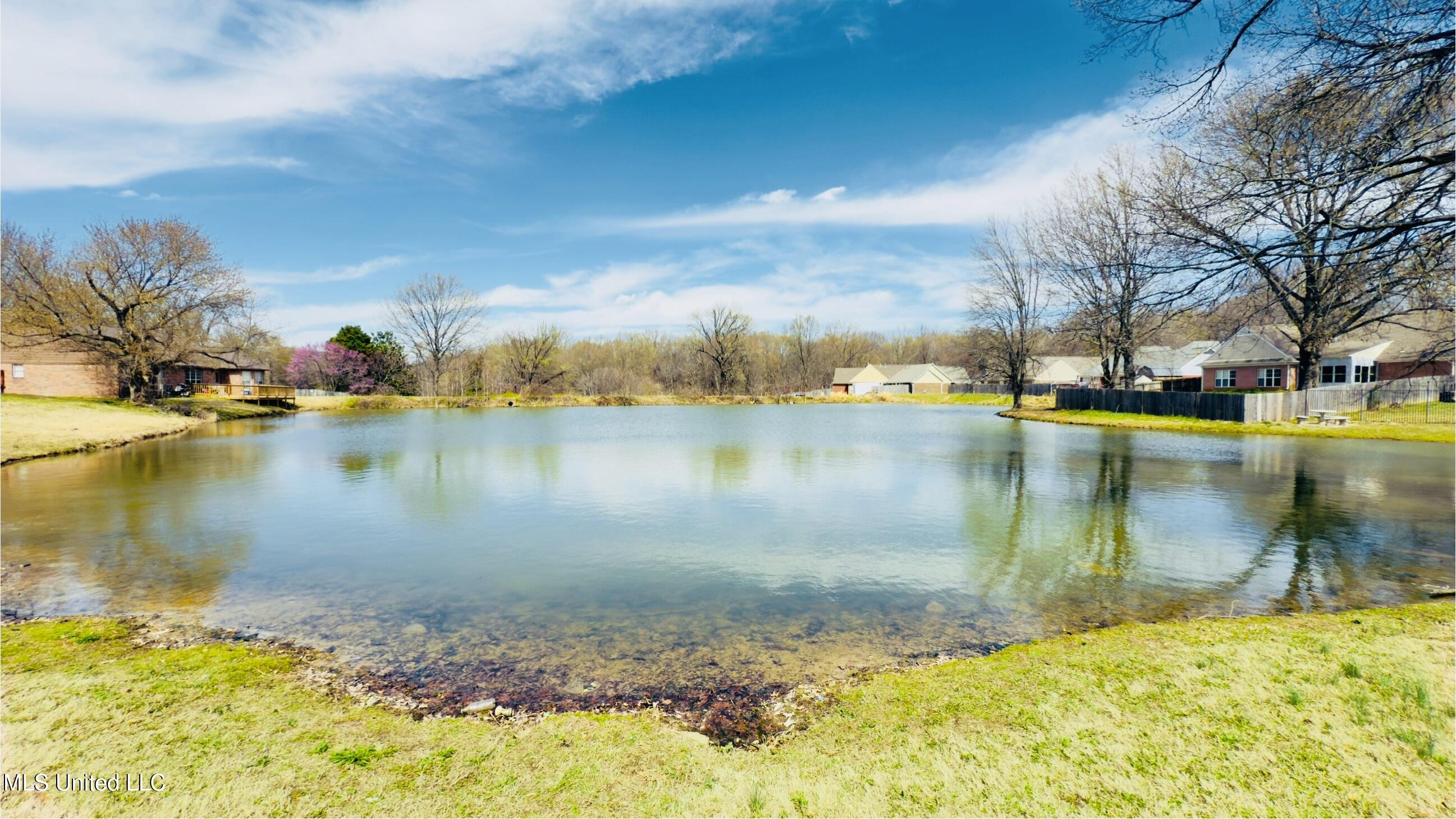 7508 Ally Cove, Walls, Mississippi image 30