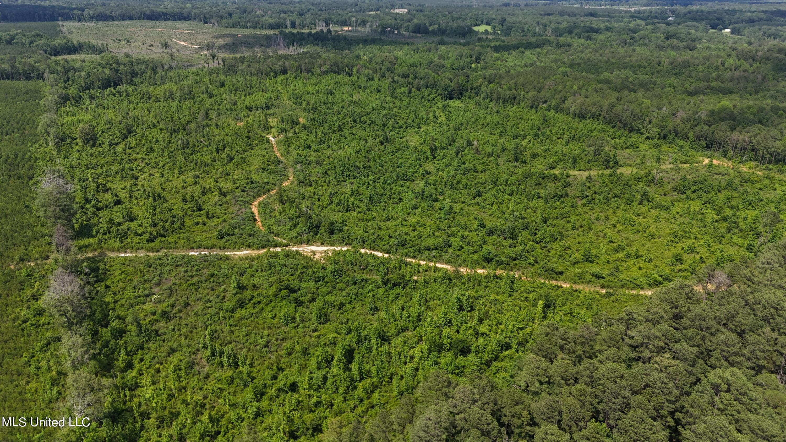 Springfield Road, Morton, Mississippi image 2