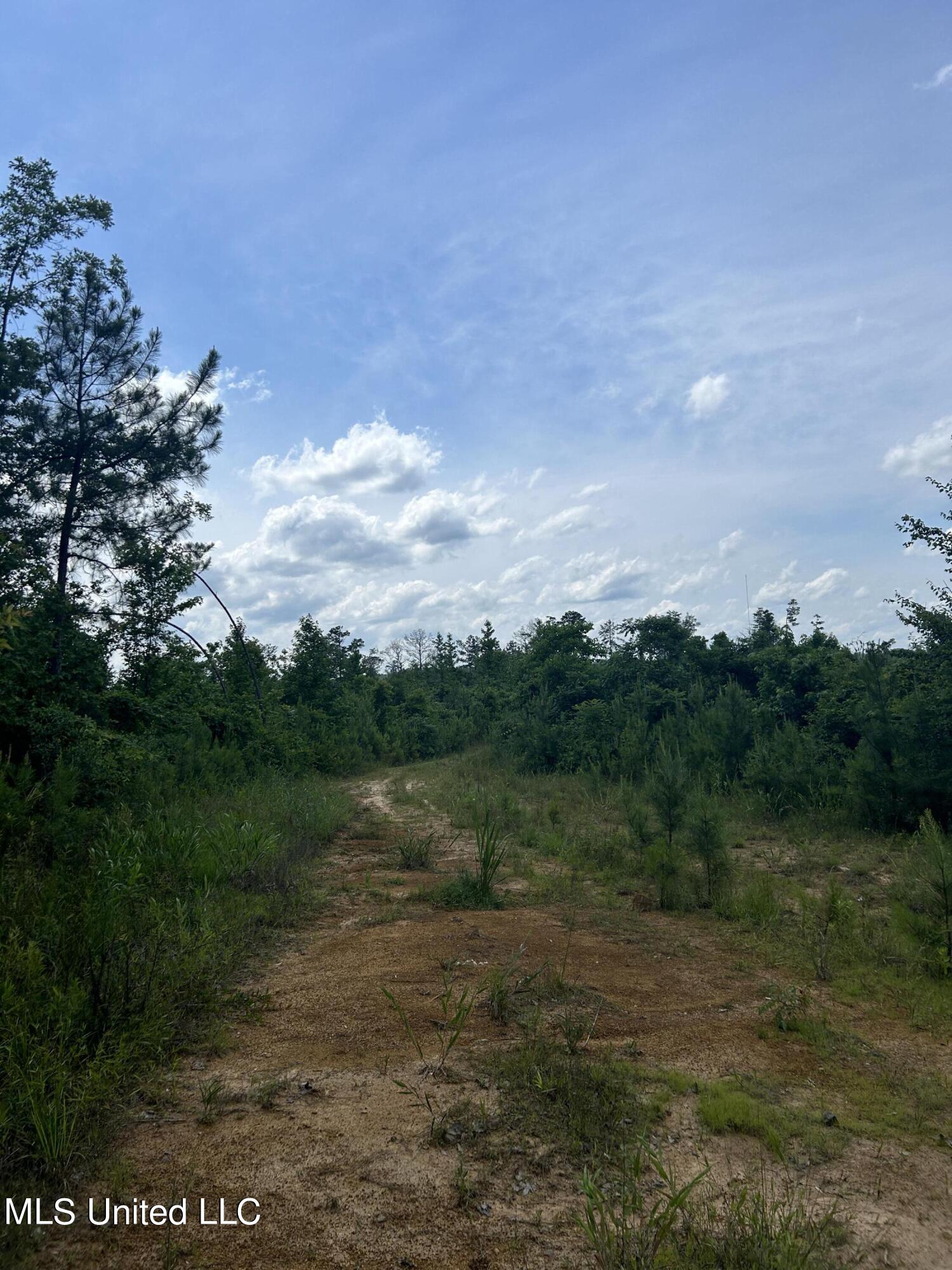 Springfield Road, Morton, Mississippi image 8