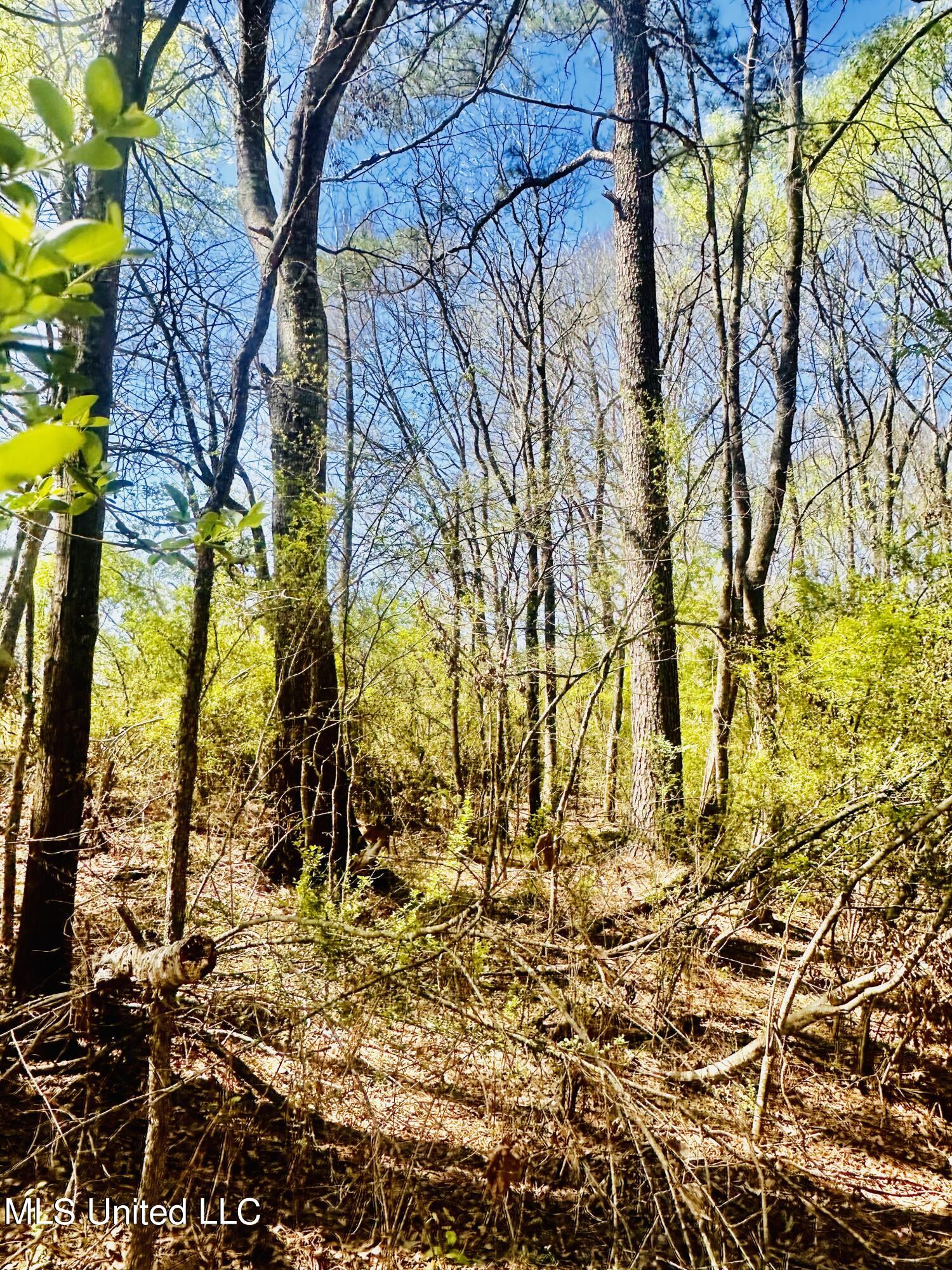 00 Little Rock Road, Crystal Springs, Mississippi image 13