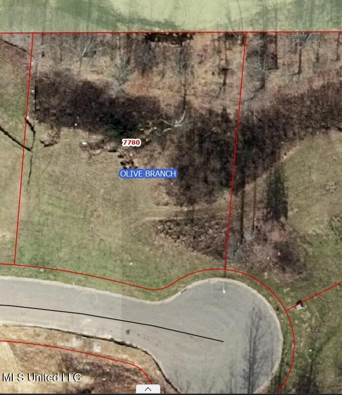 7780 Rowlett Drive, Olive Branch, Mississippi image 1