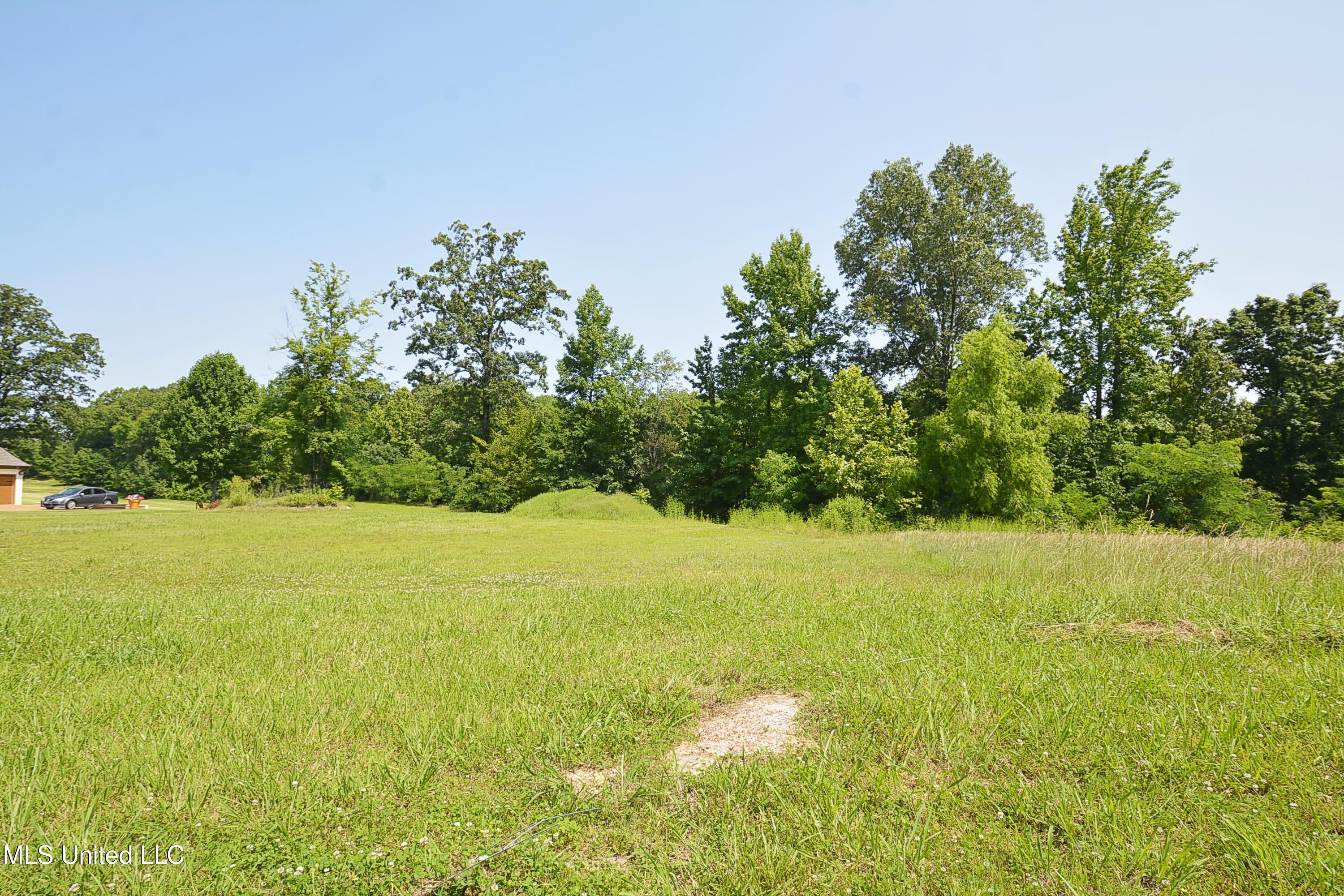 7780 Rowlett Drive, Olive Branch, Mississippi image 2