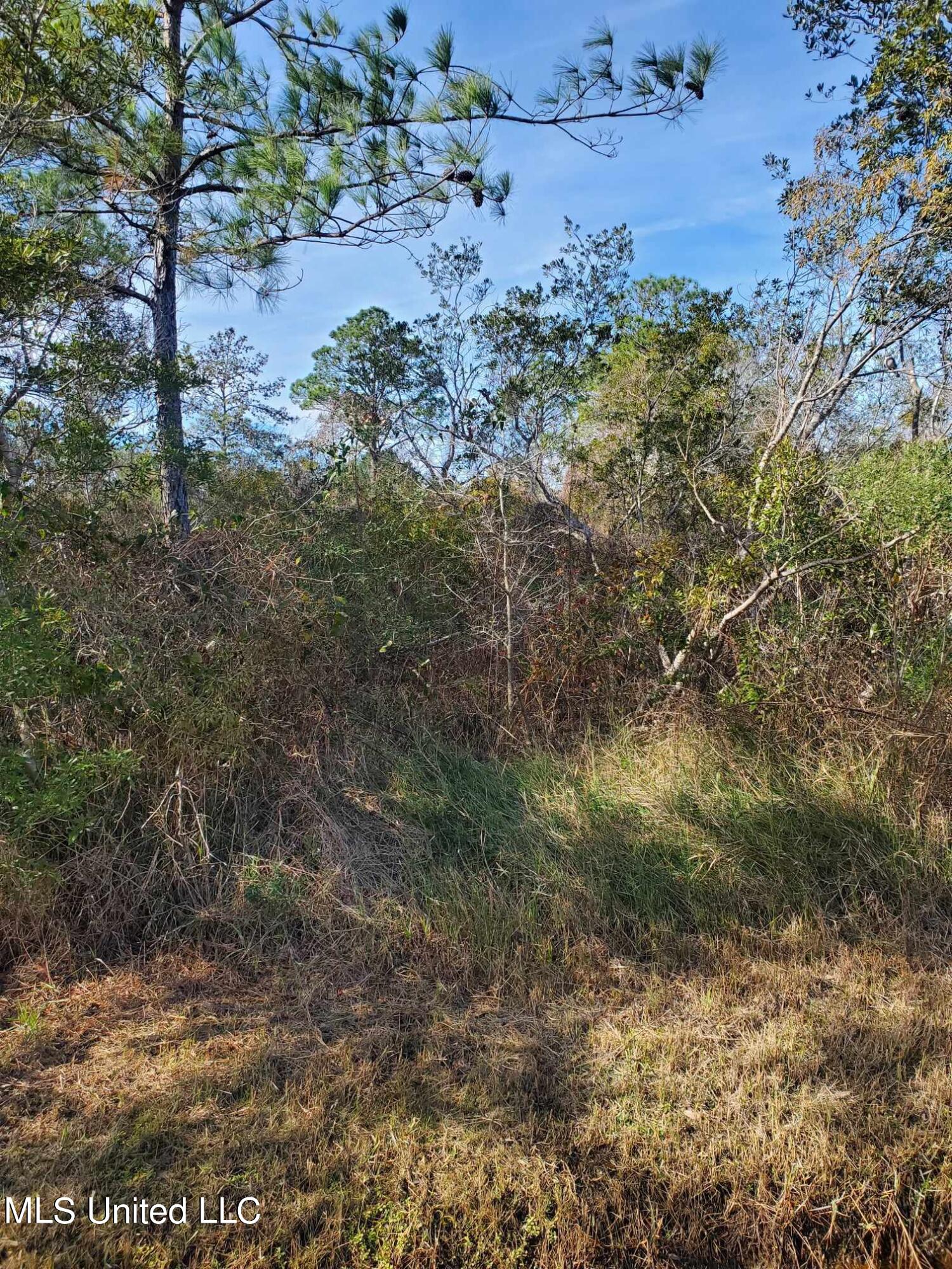 Whale Avenue, Bay Saint Louis, Mississippi image 1