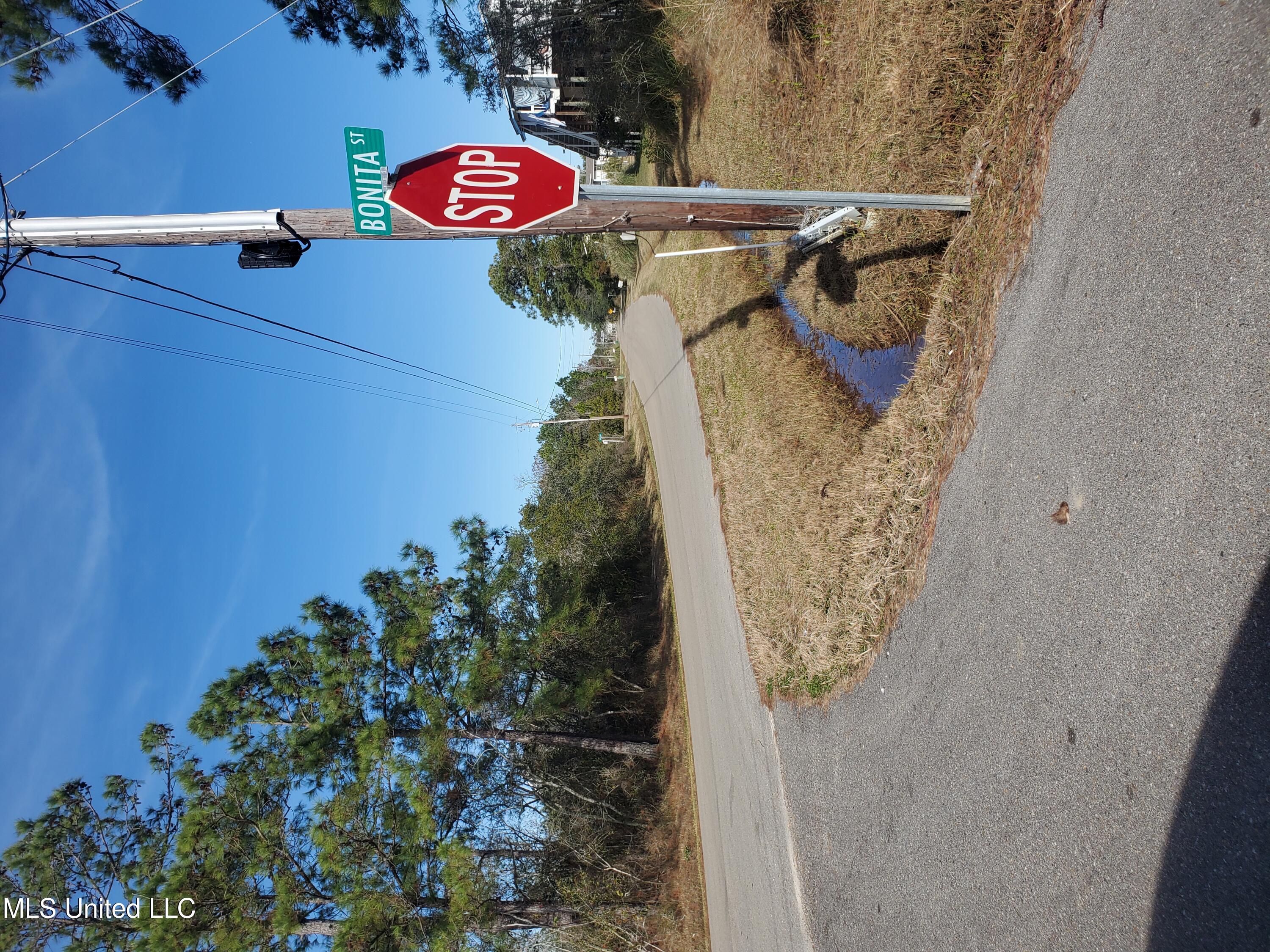 Whale Avenue, Bay Saint Louis, Mississippi image 3