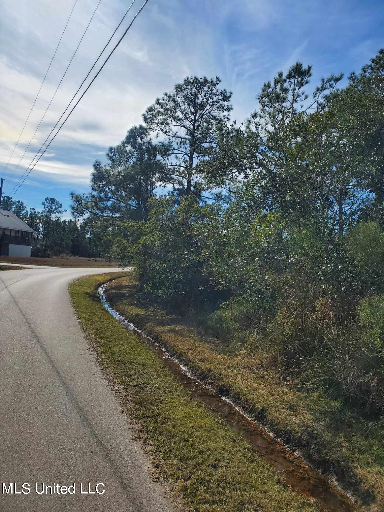 Whale Avenue, Bay Saint Louis, Mississippi image 4