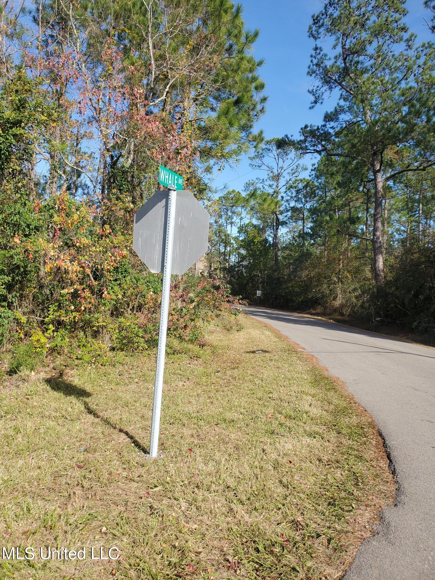 Whale Avenue, Bay Saint Louis, Mississippi image 2