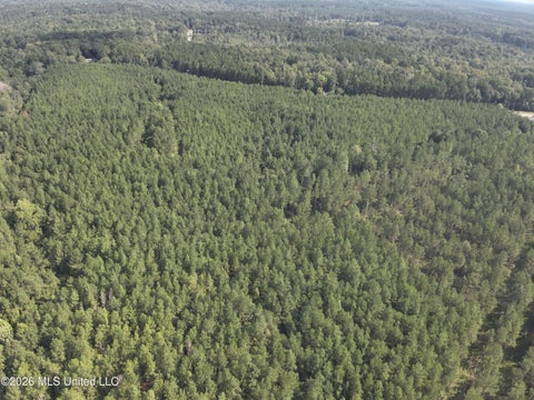 Vacant Land For Sale - 838 Ms-43<br/> Oak Vale, MS 39656