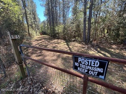 Vacant Land For Sale - 115 Ryans Road<br/> Walthall County, Tylertown, MS 39667