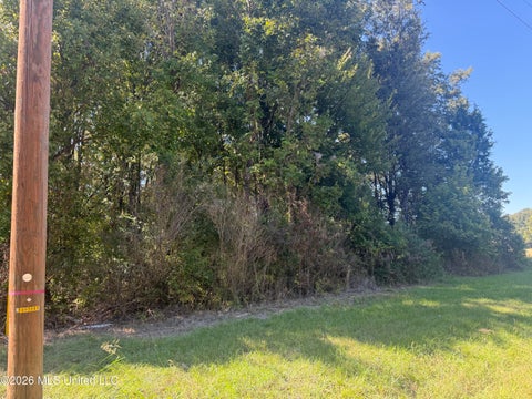 Vacant Land For Sale - Memorial Dr Avenue<br/> Flora, MS 39071