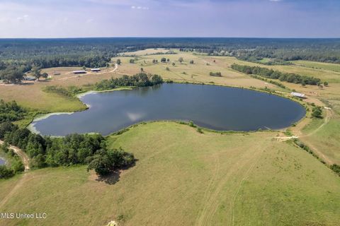 Homes For Sale - 603 Osborn Moody Road<br/> Poplarville, MS 39470
