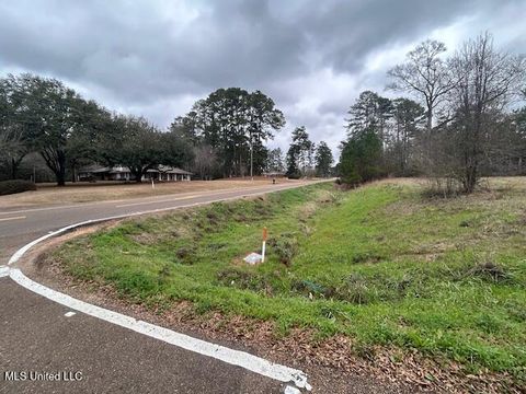 Vacant Land For Sale - W Freedom Drive<br/> Amite County, Liberty, MS 39645