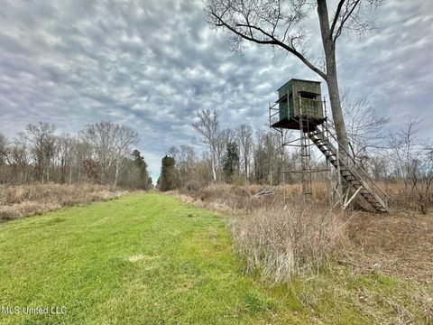 Vacant Land For Sale - 5 Dry Grove Road<br/> Terry, MS 39170