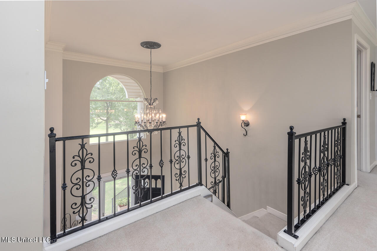 4440 Windslet Cove, Southaven, Mississippi image 15