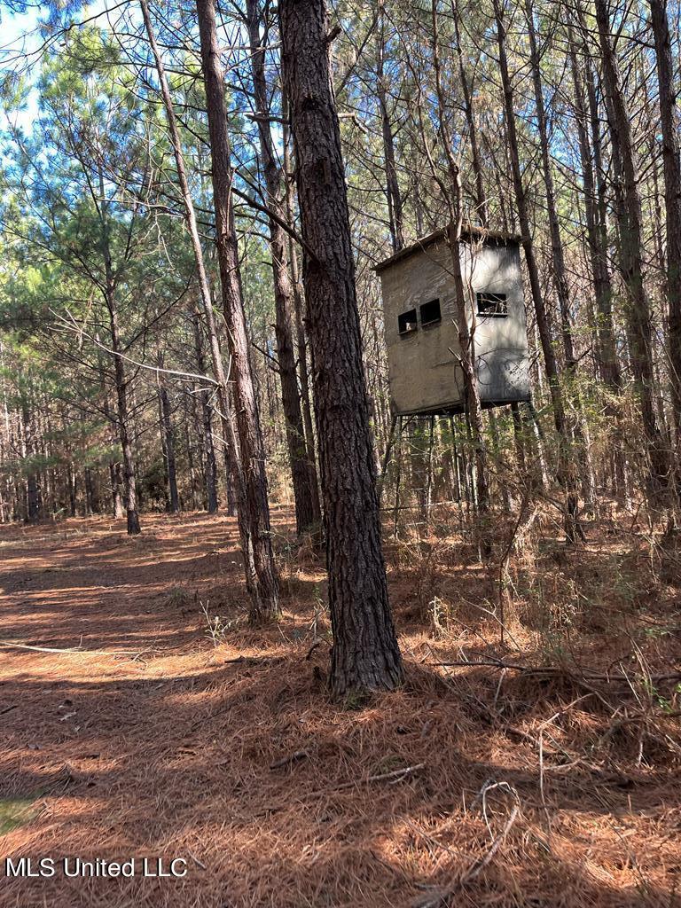 Trask Road, Centreville, Mississippi image 10