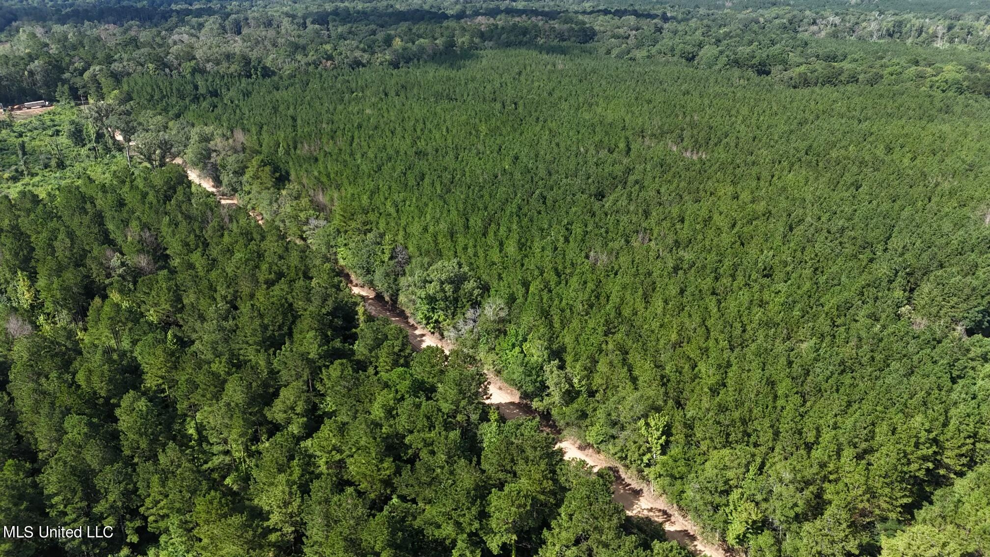 Trask Road, Centreville, Mississippi image 17