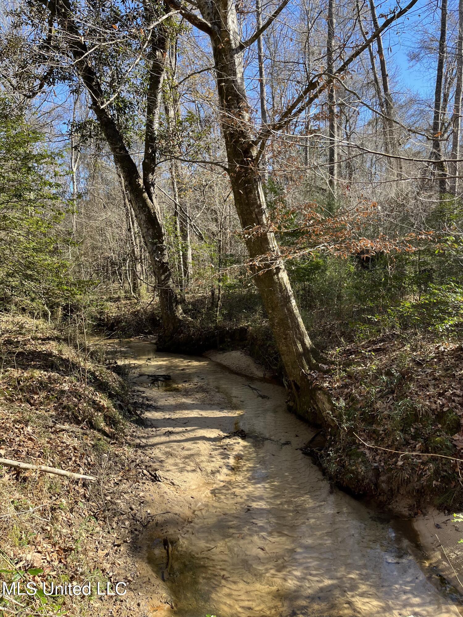 Trask Road, Centreville, Mississippi image 2