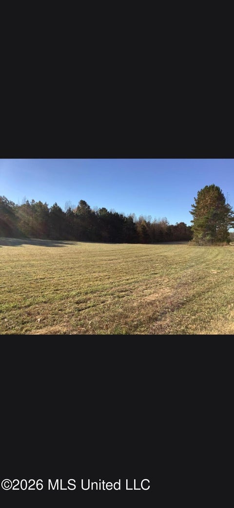 Vacant Land For Sale - Bullock Road<br/> Marshall County, Holly Springs, MS 38635