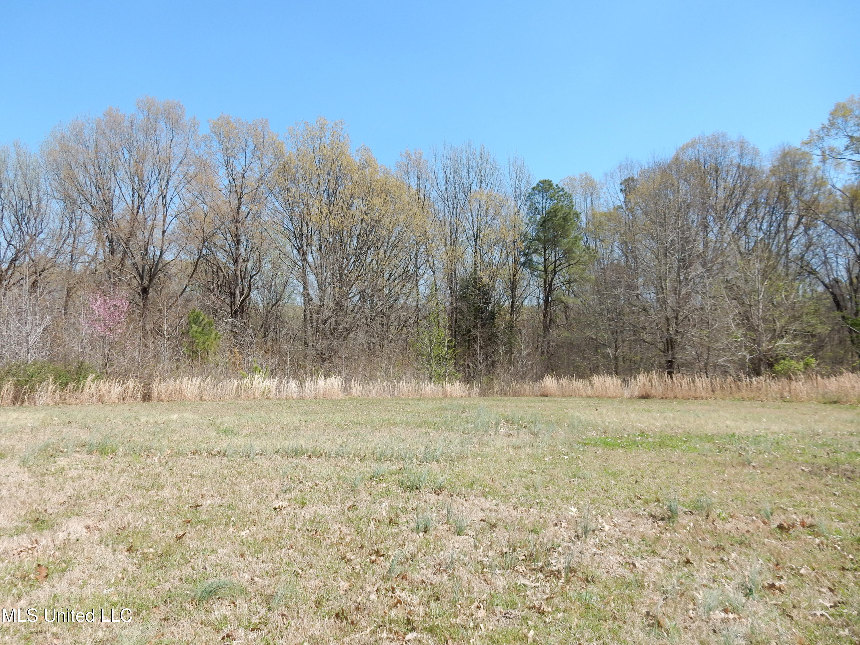 3830 S Baldwin Road, Hernando, Mississippi image 25