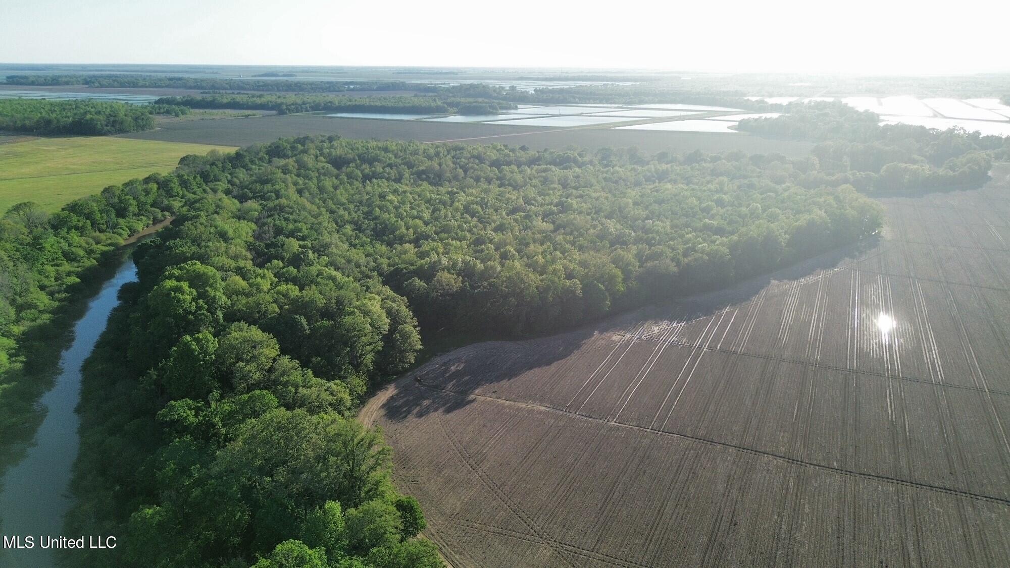 County Road 523, Schlater, Mississippi image 5