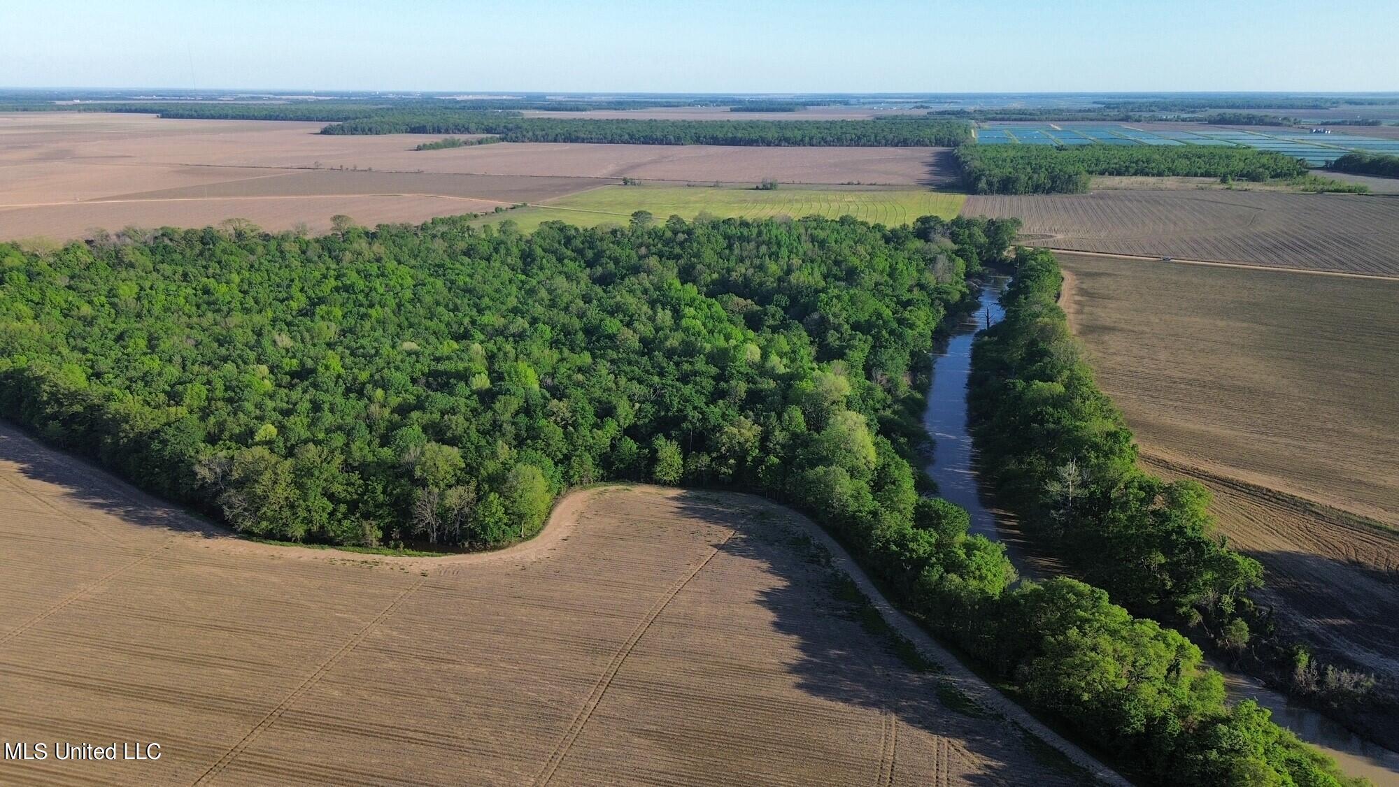 County Road 523, Schlater, Mississippi image 23